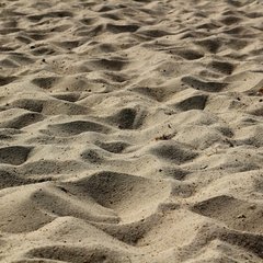 Sandy ground