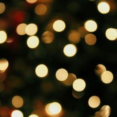 Photo Credit: Katherine St. Pierre via Unsplash