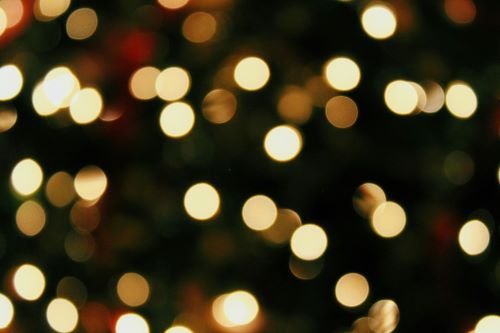 Photo Credit: Katherine St. Pierre via Unsplash